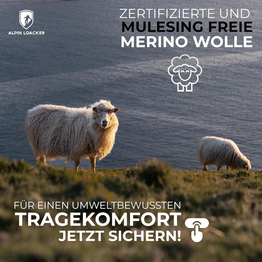 ALPIN LOACKER Merino Shirt Herren Kurzarm I Antischweißshirt I Merinowolle Tshirt I Thermooberteil Atmungsaktiv